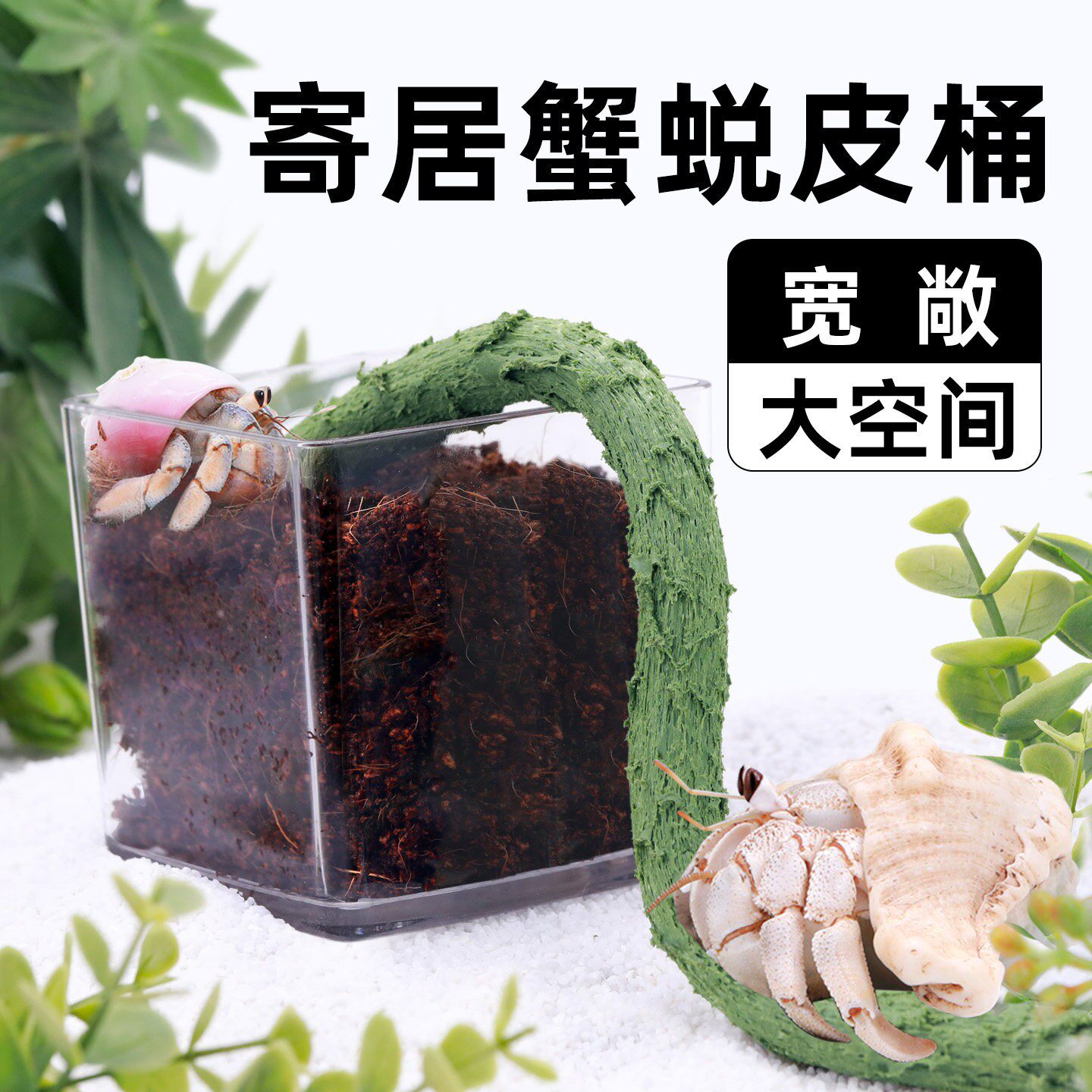 寄居蟹专用蜕皮桶隔离缸盒套装套餐小号大号亚克力梯子组合玉米芯图片