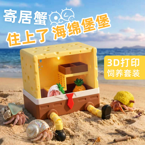寄居蟹 3d打印 新手饲养套餐～新手饲养套装盒 六一儿童礼物
