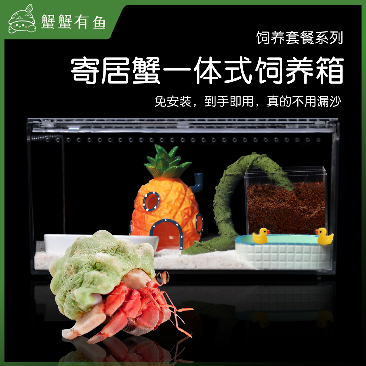 高透一体式饲养箱新手套餐套装