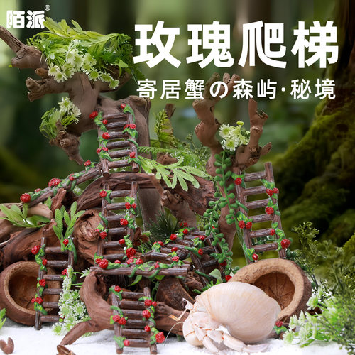 寄居蟹玫瑰攀爬梯子～多风格森系雨林爬梯百搭造景水盆蜕皮桶搭档