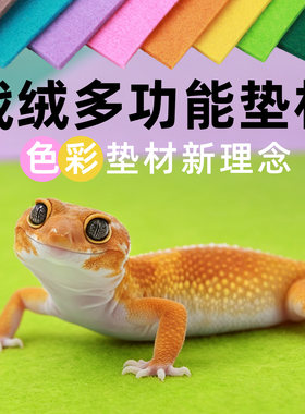 陌派爬宠戟绒地垫~守宫角蛙寄居蟹爬虫地毯垫材 多色吸水可裁剪