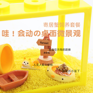 陌派寄居蟹新手饲养套餐套装～大号小号积木饲养盒萌宠豆丁活体