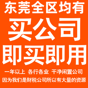 东莞一年以上信息咨询科技贸易实业劳务派遣公司转让法人股权变更
