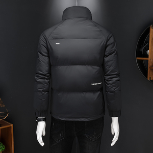 2024新品冬季男士立领白鸭绒羽绒服 D260-8601P195图片