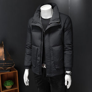 2024冬装新品男士白鸭绒羽绒服 D260-9883P205图片