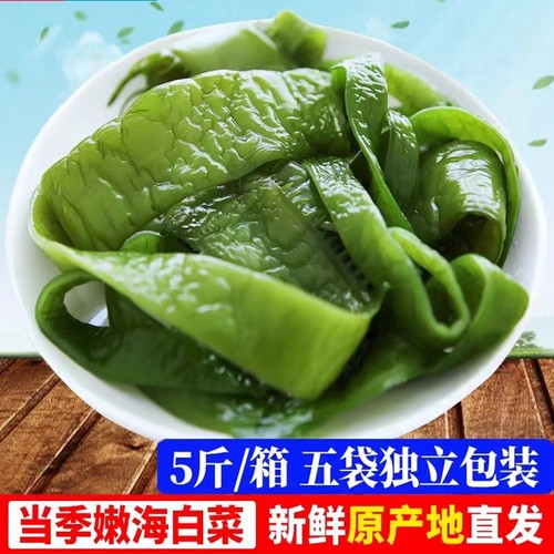 海白菜裙带菜梗盐渍海裙菜