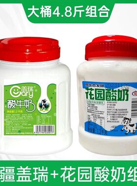 新疆特产盖瑞酸奶水果捞网红新疆老酸奶原味浓缩风味酸奶