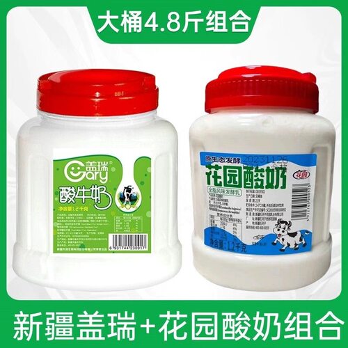 新疆特产盖瑞酸奶水果捞网红新疆老酸奶原味浓缩风味酸奶