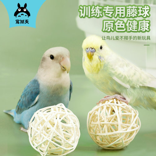 鹦鹉训练专用藤球磨牙益智玩具