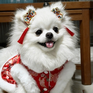 新年宠物狗狗发夹醒狮头饰博美马尔济斯中小型犬过年喜庆拍照道具