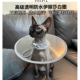 伊丽莎白圈猫咪绝育术后可调节脖圈宠物透明防水头套狗防舔咬脖套