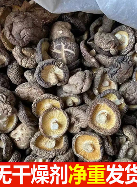菌裕五斤香菇干货商用批发散装净重冬菇肉厚无根特产菌茹2500g