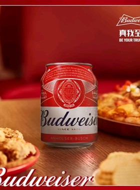 百威拉格啤酒255ml*12听/24听