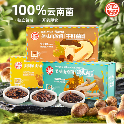 德和牛肝菌鸡枞菌风味云南小零食