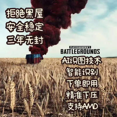 pubg一个点吸附宏上分steam排位主播专用（高端定制）