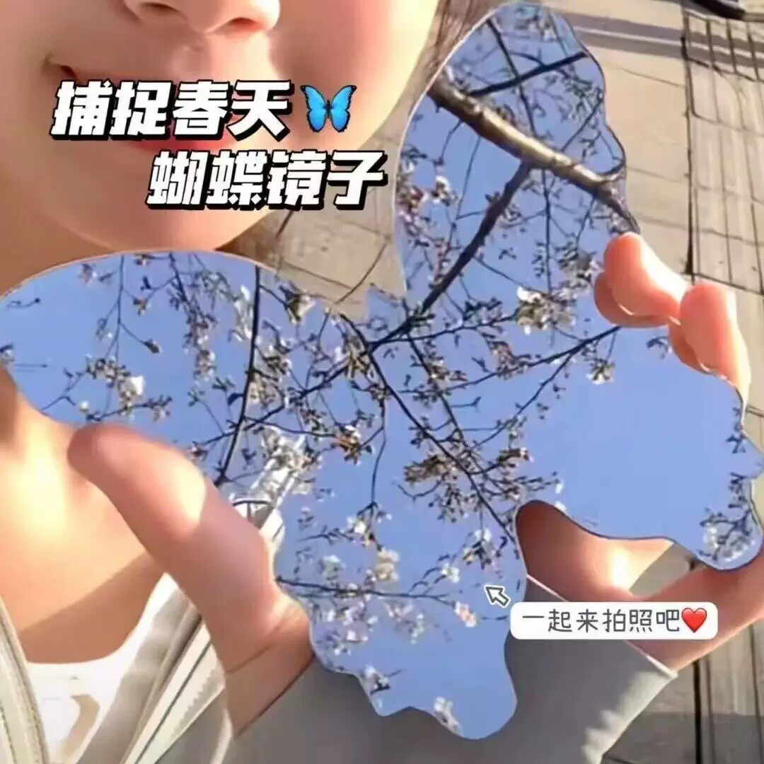 2026新款蝴蝶随身化妆镜亚克力意境拍照ins风拍照出片装饰镜子
