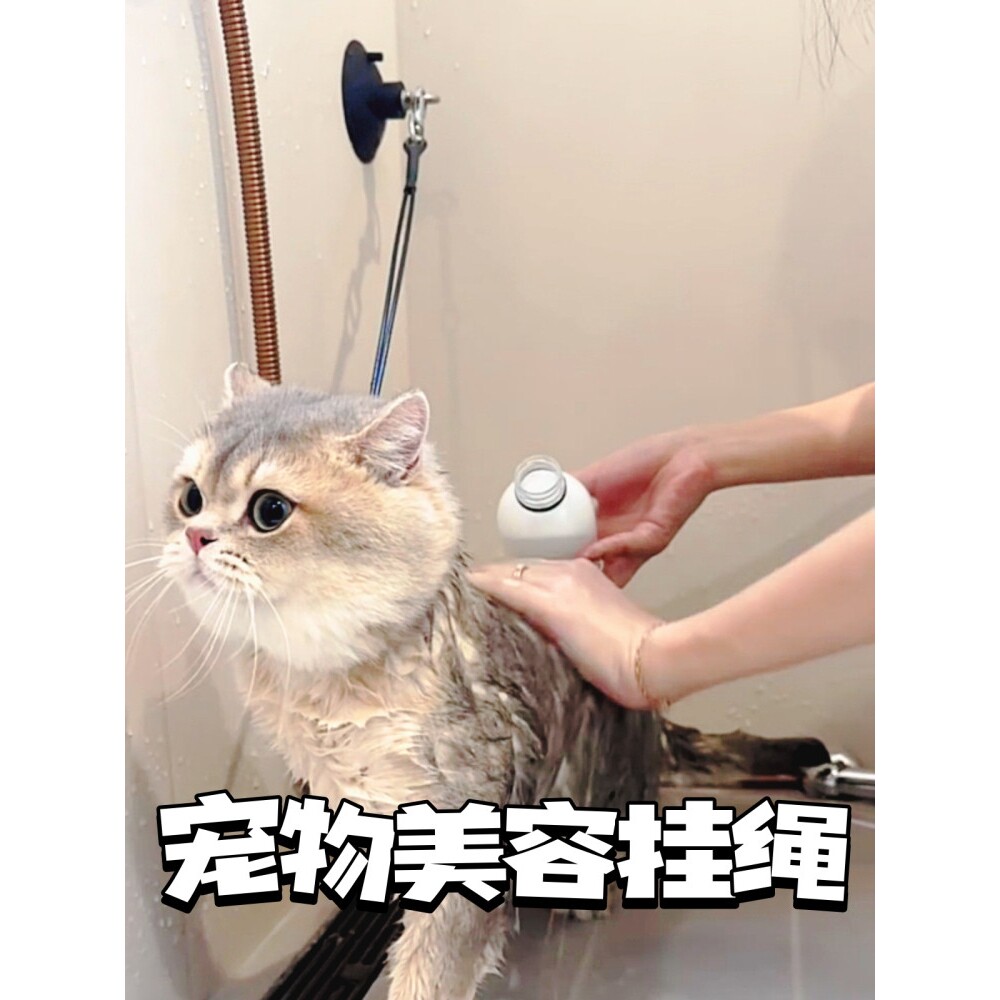 洗澡固定绳工具宠物洗澡固定绳剪毛防跑猫吹毛搓澡宠物美容挂绳