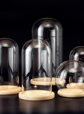 蝴蝶标本玻璃罩手办模型展示盒桌面摆件干花diy透明防尘罩工艺品