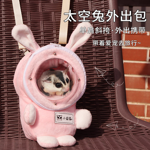 小宠物外出包外出携带造型可爱