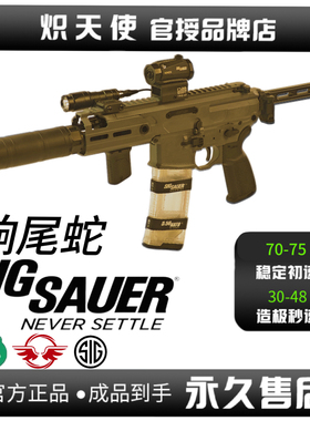 SIG MCX响尾蛇套件全铝玩具电动连发玩具枪ATM成品7075波箱