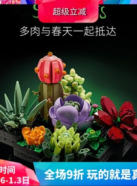 10309多肉植物花束盆景儿童益智拼装中国积木鲜花玩具家居摆件