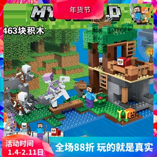 中国积木我的世界21146骷髅攻袭竞技场儿童益智拼装玩具礼物10989