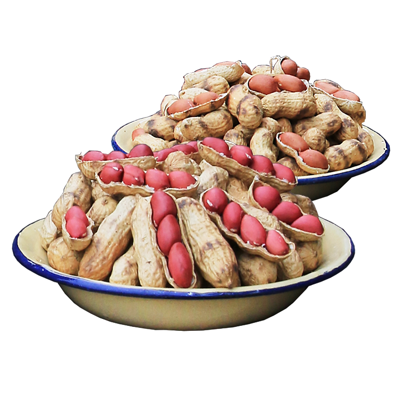 牛小苗年货零食带壳熟花生原味坚果炒货酥脆小吃四粒红皮500g*1包