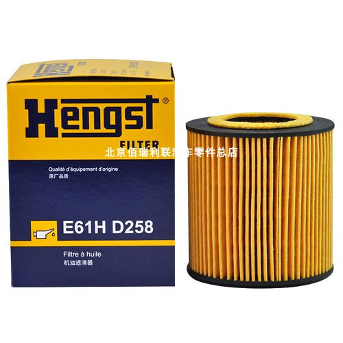 汉格斯特Hengst机油滤清器滤芯格E820H D245适用于宝马318/320i