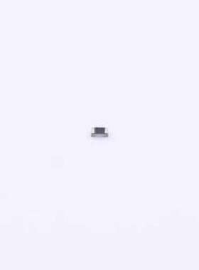 RT0402CRE07100KL 贴片电阻 薄膜电阻 100kΩ ±0.25% 62.5mW 040