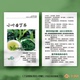 小叶苦丁茶 茶叶卡片茶叶介绍卡片冲泡简介卡片定制
