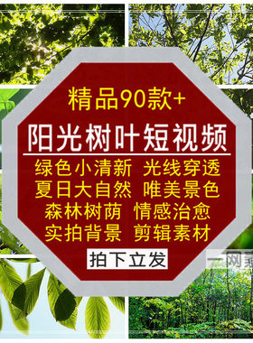 阳光树叶短视频绿色小清新夏日穿透大自然唯美景森林情感治愈素材