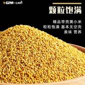 黄谷子鸟粮中小型鹦鹉饲料食虎皮玄凤牡丹带壳小米食物新粮食5斤