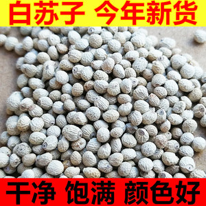 金丝雀芙蓉鸟小型鹦鹉鸟食鸟粮