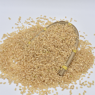 内蒙东北大米一季 有机糙米600g包装 稻农家天然五谷杂粮玄米粗米