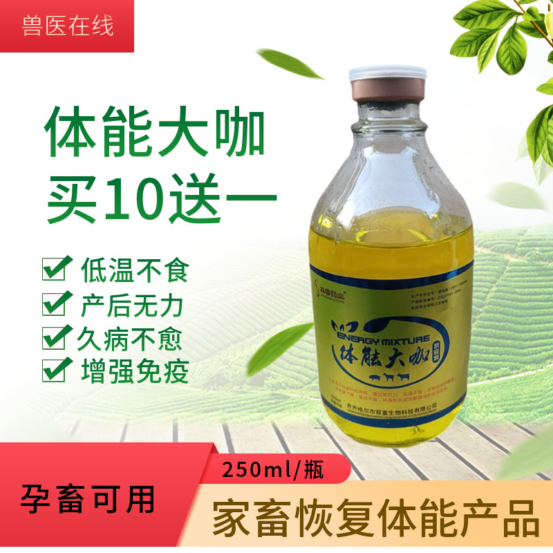 体能大咖兽用药大输液能量合剂补维生素猪马牛羊犬猫鹿.消瘦僵畜