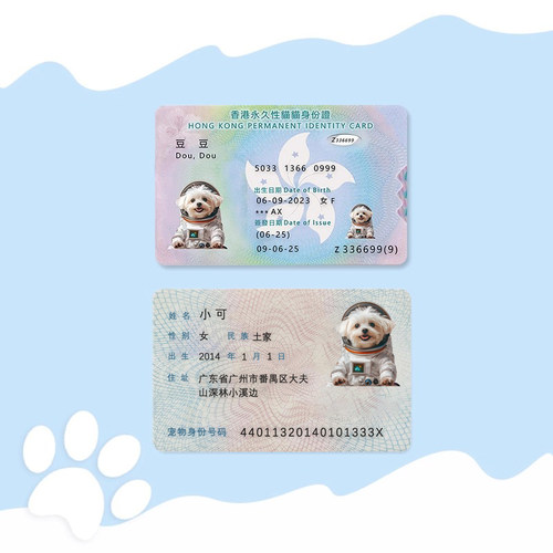 宠物仿真通行证定制身份牌卡片