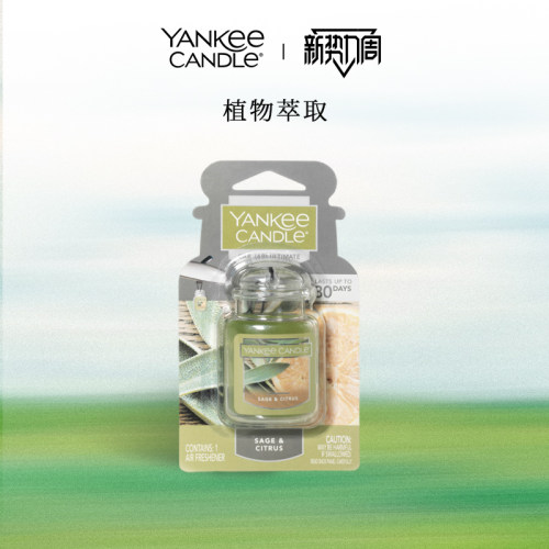 扬基车内芳香挂饰固体车载香薰