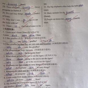 2025年新版国一下册英语全册高频考试重点单元语法知识点专项练习