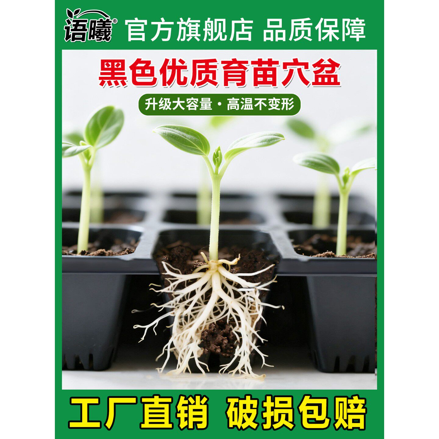 营养钵育苗盘育苗盆穴盘塑料杯多肉种植蔬菜育种扦插营养杯育苗盒