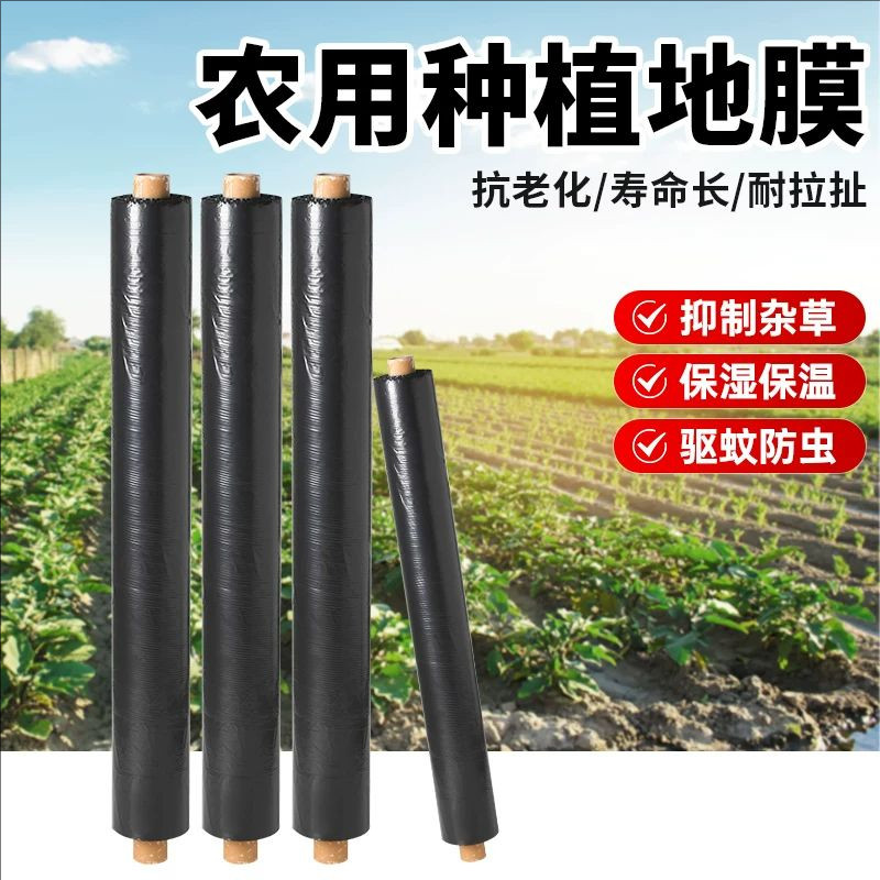 黑色地膜保温保湿防草工程养护膜