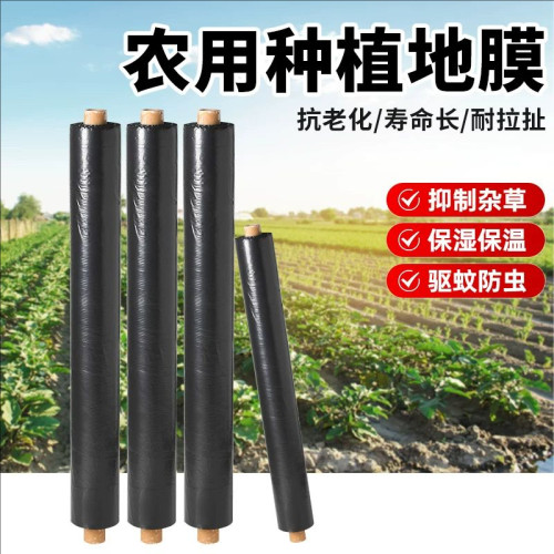 黑色地膜保温保湿防草工程养护膜