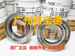 GJ4795G SA1J 200 不锈钢弹簧骨架油封PTFE 170 日本NOK油封