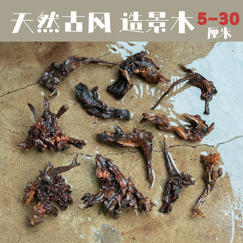 天然古风沉木5-30CM造景装饰摆件