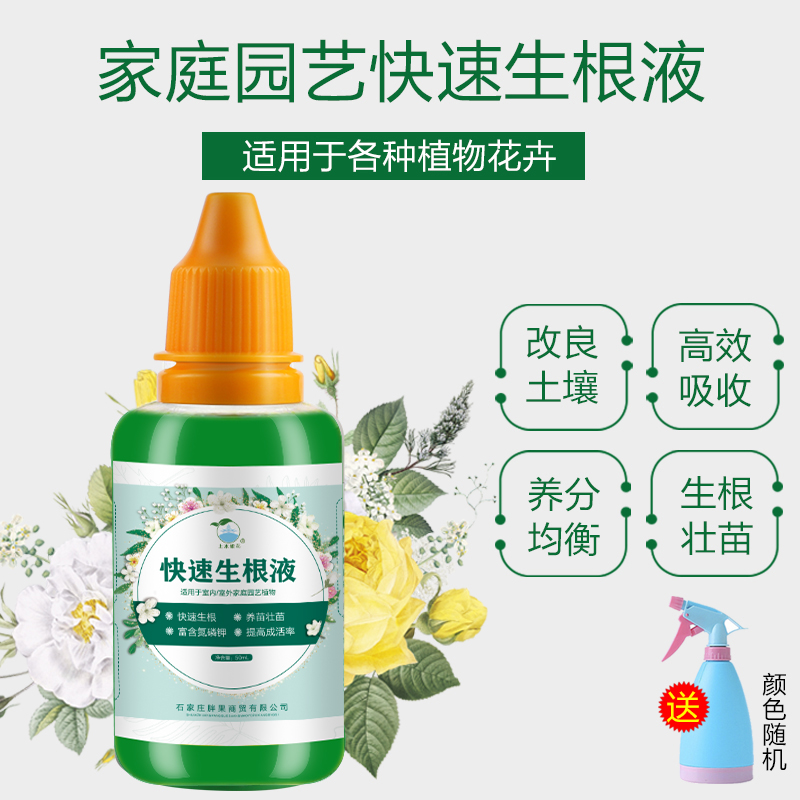 扦插生根植物上水银花