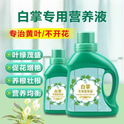 上水银花白掌专用营养液专业配比