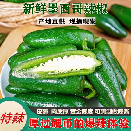 港椒新鲜墨西哥辣椒特辣脆嫩农家自种皮薄肉厚油焖椒青椒西餐食材