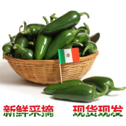 现货速发 正宗港椒 农家自种墨西哥辣椒青椒新鲜蔬菜油焖港椒贡椒