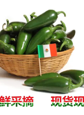现货速发 正宗港椒 农家自种墨西哥辣椒青椒新鲜蔬菜油焖港椒贡椒