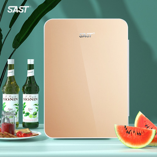 SAST车载冰箱保鲜便携