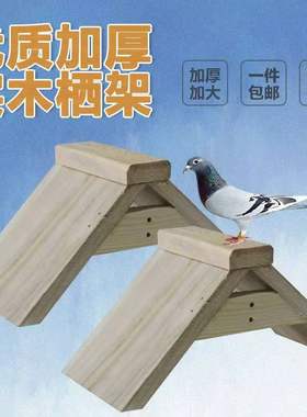鸽子栖架站架实木加厚栖息架巢箱信赛鸽环鸽具鸽用品信鸽用具包邮